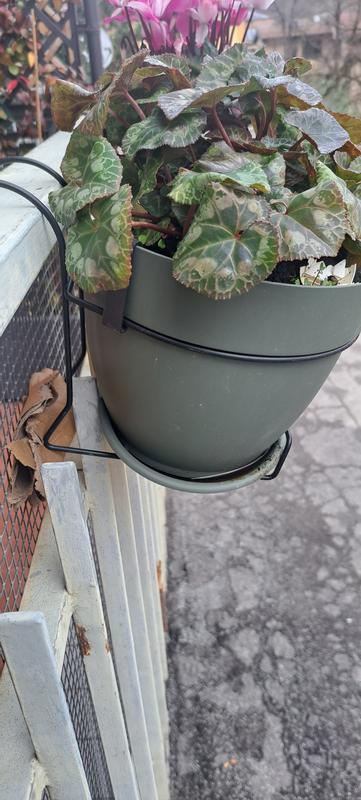 Revisione aperta modale 1 su 2