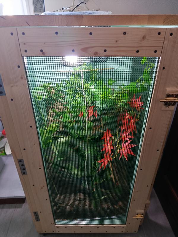 Revisione aperta modale 1 su 1