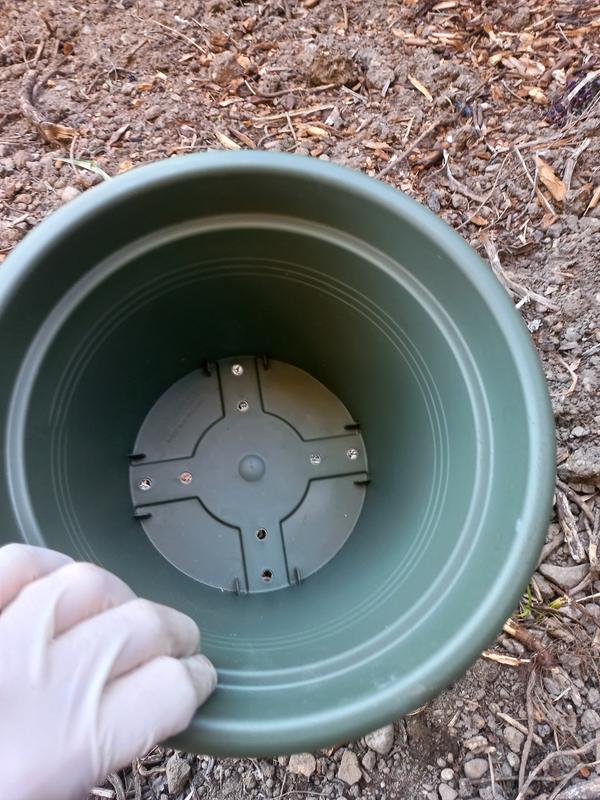 Revisione aperta modale 3 su 3