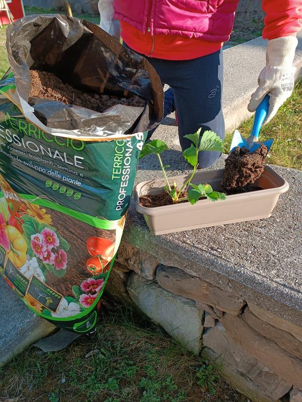 Revisione aperta modale 1 su 2