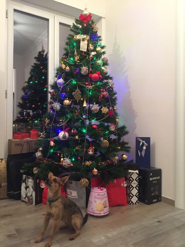 Revisione aperta modale 1 su 1