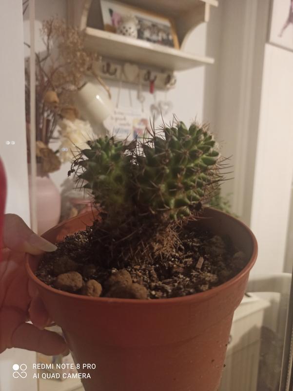 Revisione aperta modale 1 su 1