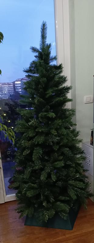 Revisione aperta modale 1 su 1