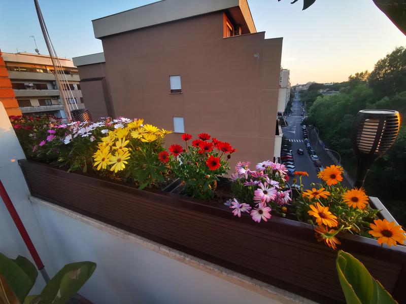 Revisione aperta modale 2 su 4