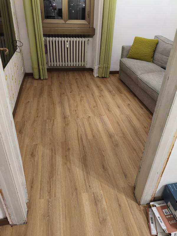 Revisione aperta modale 1 su 2