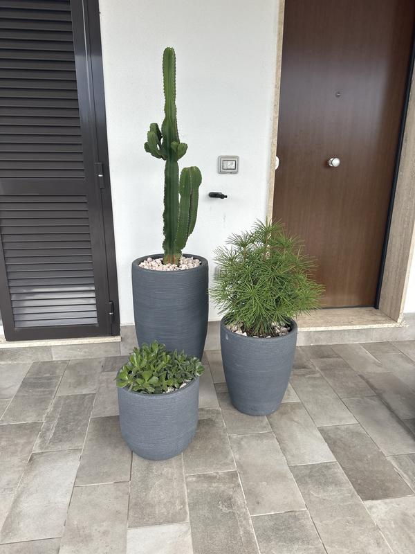 Revisione aperta modale 1 su 1