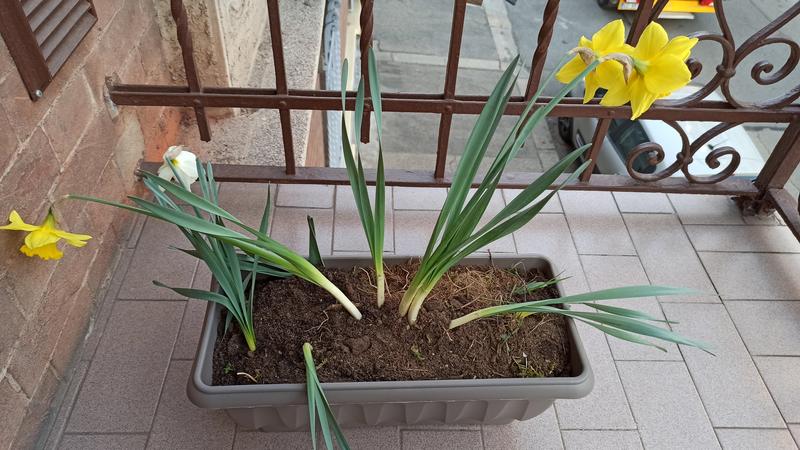 Revisione aperta modale 1 su 1