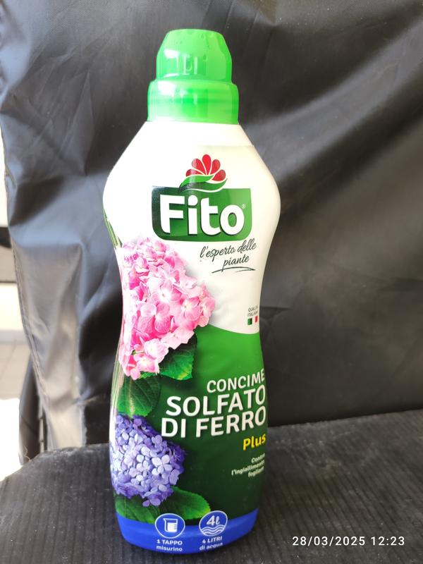 Revisione aperta modale 1 su 1