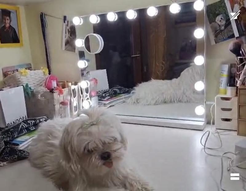 Revisione aperta modale 1 su 2