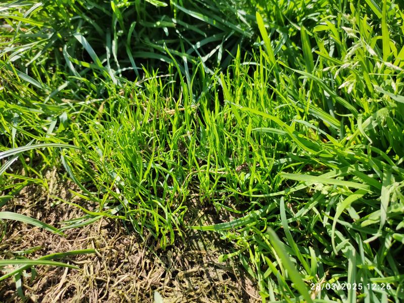 Revisione aperta modale 1 su 2