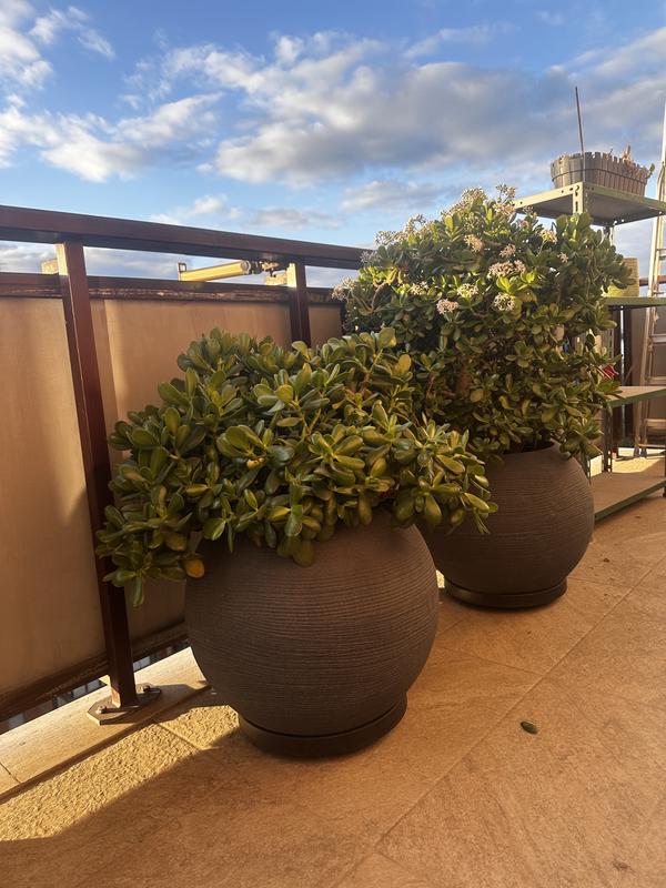 Revisione aperta modale 1 su 1