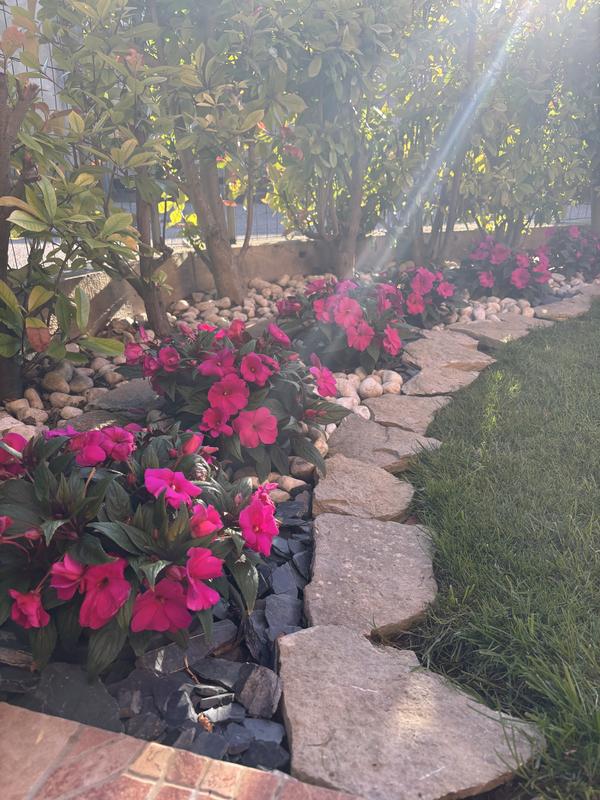 Revisione aperta modale 2 su 3