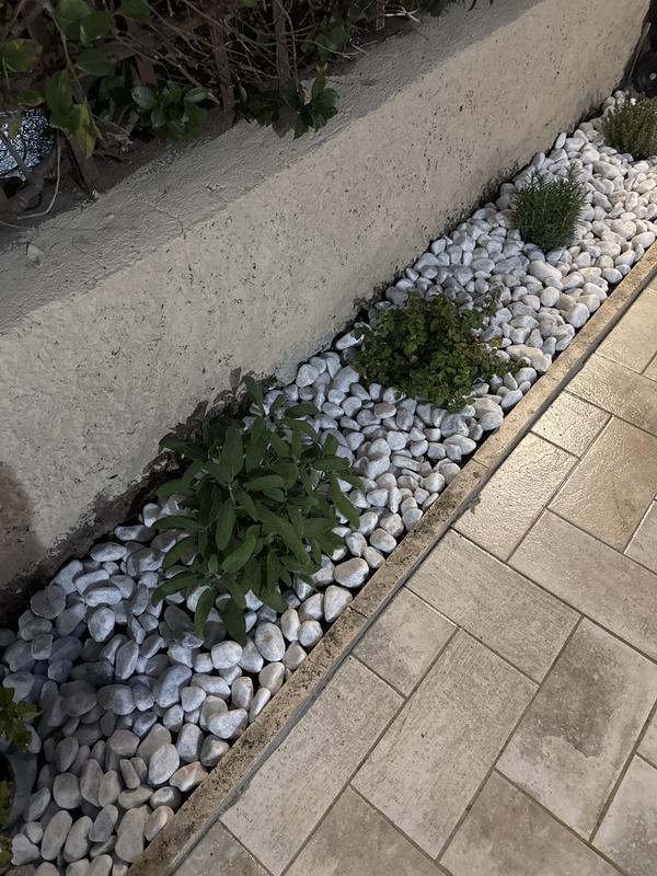 Revisione aperta modale 1 su 1