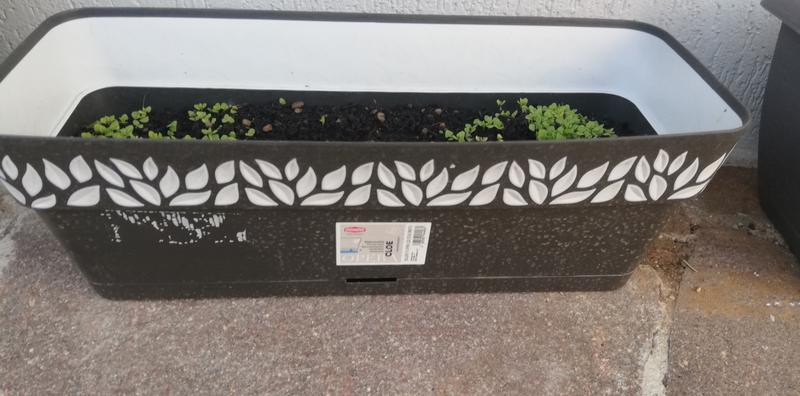 Revisione aperta modale 1 su 1