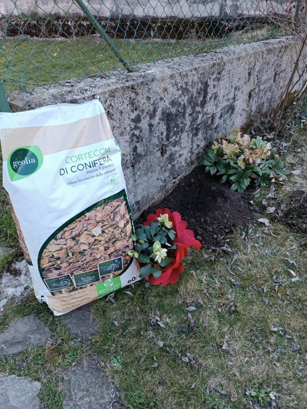 Revisione aperta modale 1 su 3