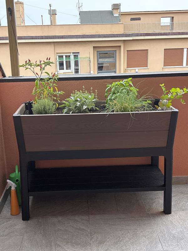 Revisione aperta modale 1 su 1