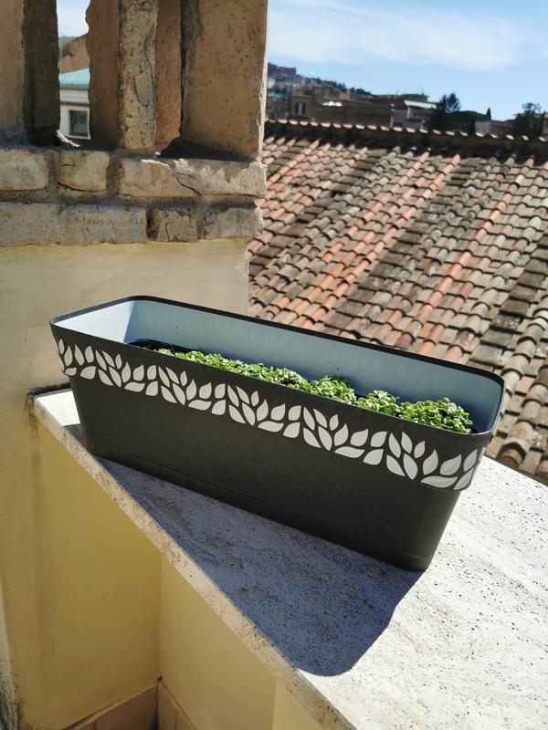 Revisione aperta modale 1 su 1