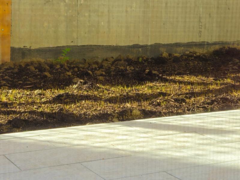 Revisione aperta modale 2 su 2