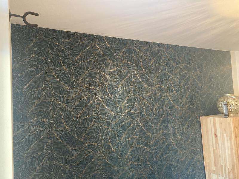 Revisione aperta modale 1 su 1