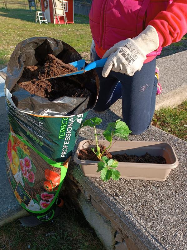 Revisione aperta modale 3 su 3