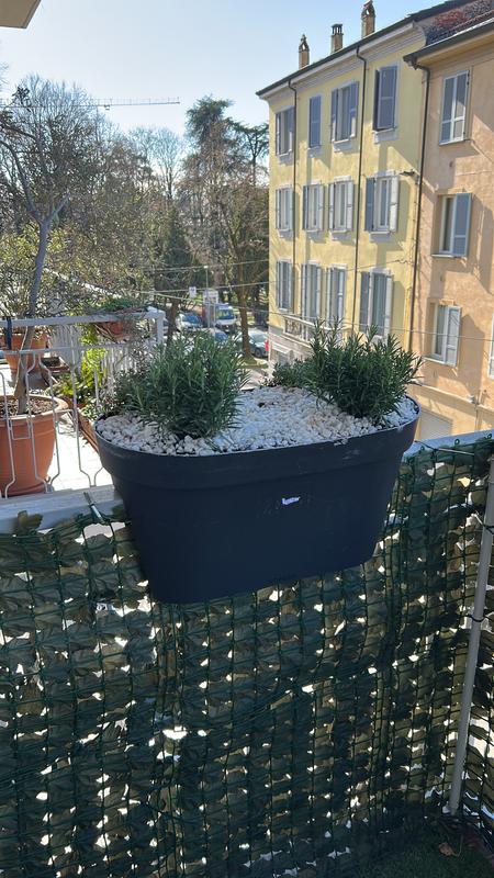 Revisione aperta modale 1 su 1