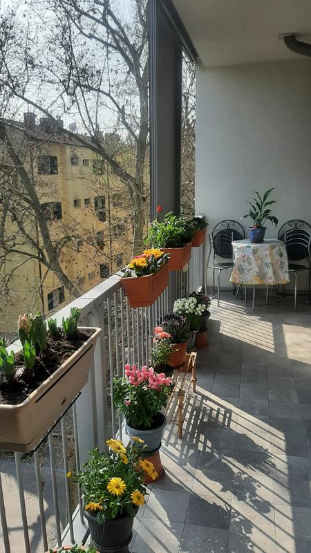 Revisione aperta modale 2 su 2