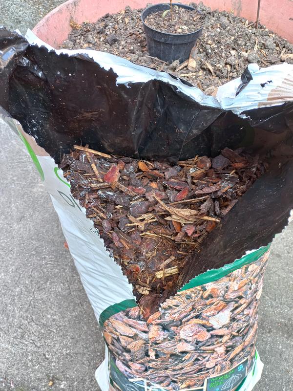 Revisione aperta modale 2 su 4