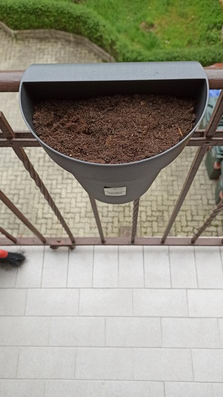 Revisione aperta modale 1 su 1