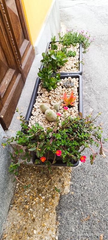 Revisione aperta modale 1 su 1