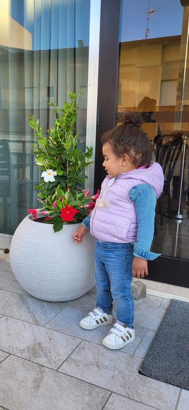 Revisione aperta modale 1 su 1