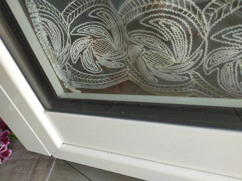 Revisione aperta modale 1 su 2