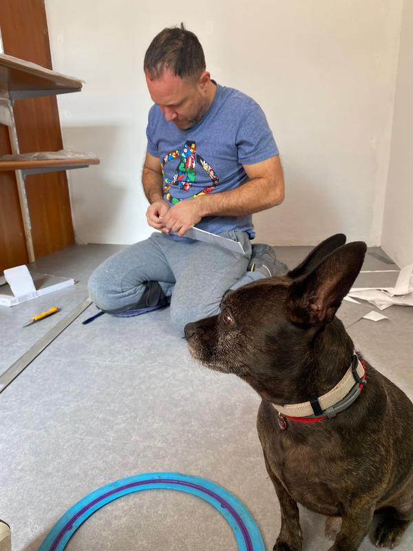 Ouvrir la fenêtre modale de l'avis 1 sur 1