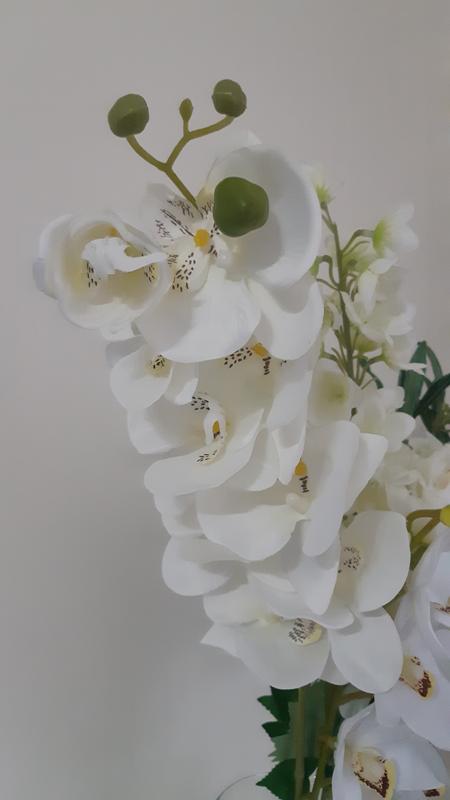 Revisione aperta modale 1 su 1