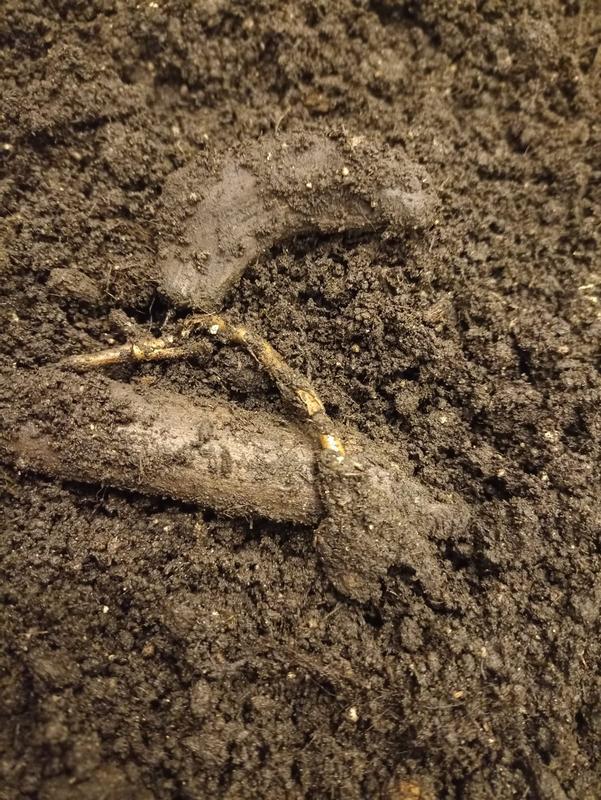 Otwórz okno opinii 3 na stronie 3