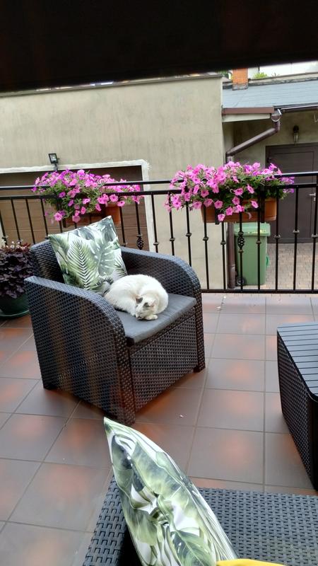 Otwórz okno opinii 2 na stronie 2