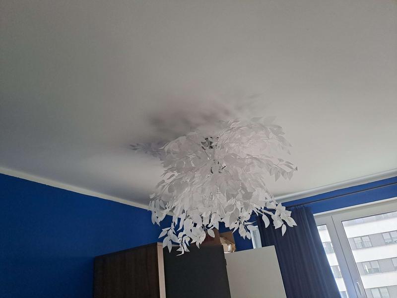 Otwórz okno opinii 1 na stronie 1