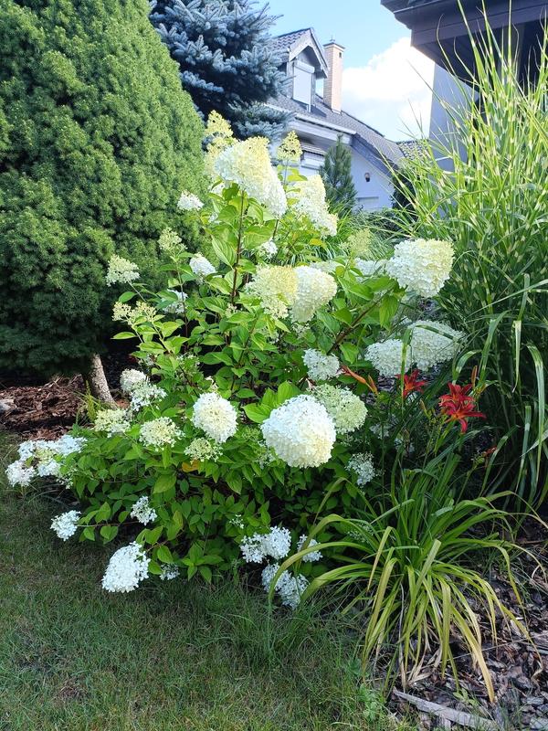 Otwórz okno opinii 1 na stronie 1