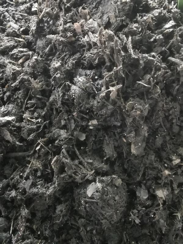 Otwórz okno opinii 2 na stronie 2