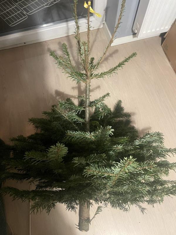 Otwórz okno opinii 2 na stronie 2