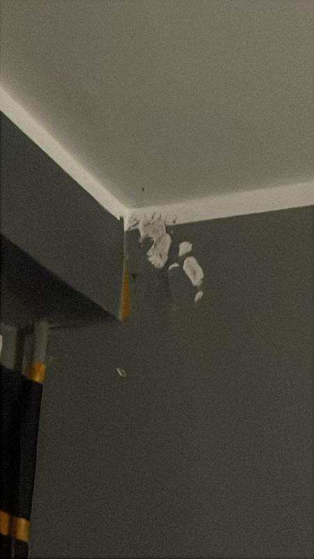 Ouvrir la fenêtre modale de l'avis 1 sur 1