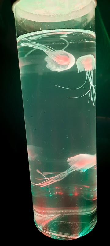 Otwórz okno opinii 5 na stronie 6