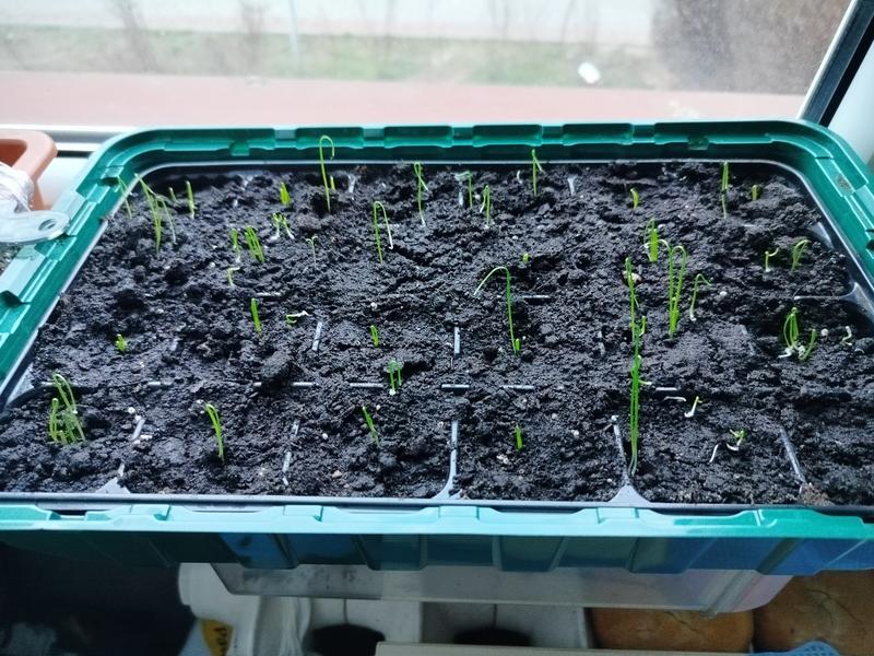 Otwórz okno opinii 1 na stronie 1