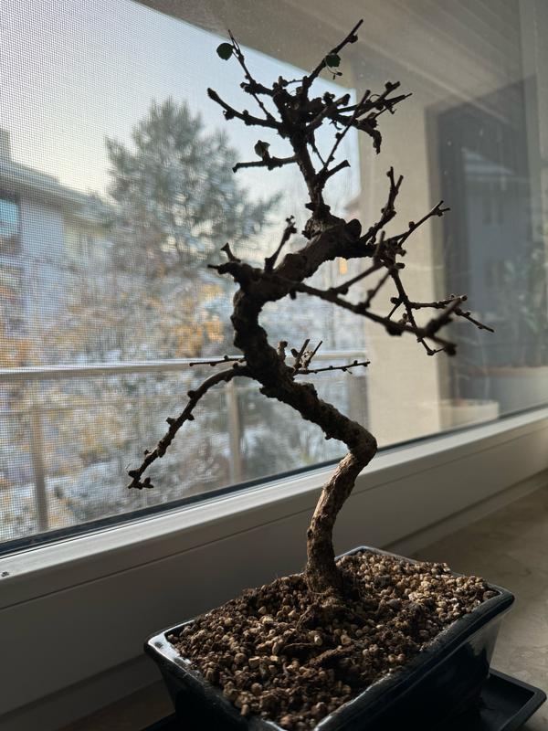 Otwórz okno opinii 6 na stronie 6