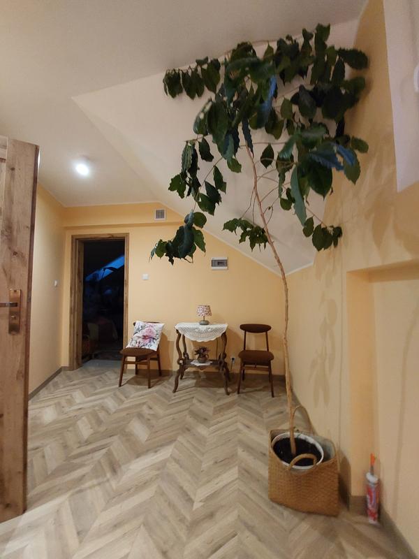 Otwórz okno opinii 1 na stronie 1