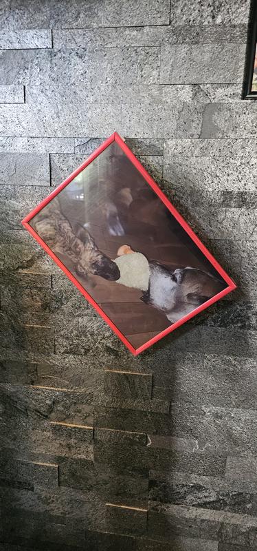 Otwórz okno opinii 1 na stronie 1