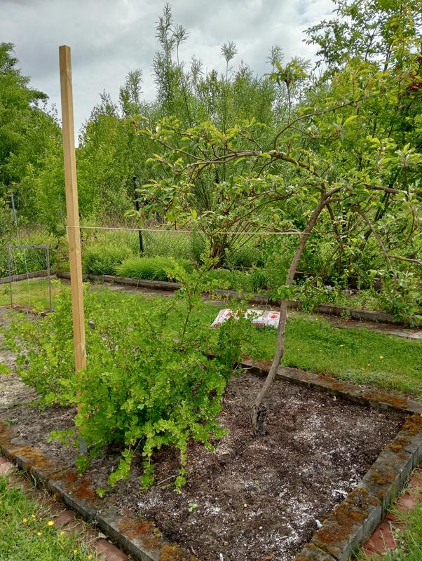 Otwórz okno opinii 1 na stronie 1