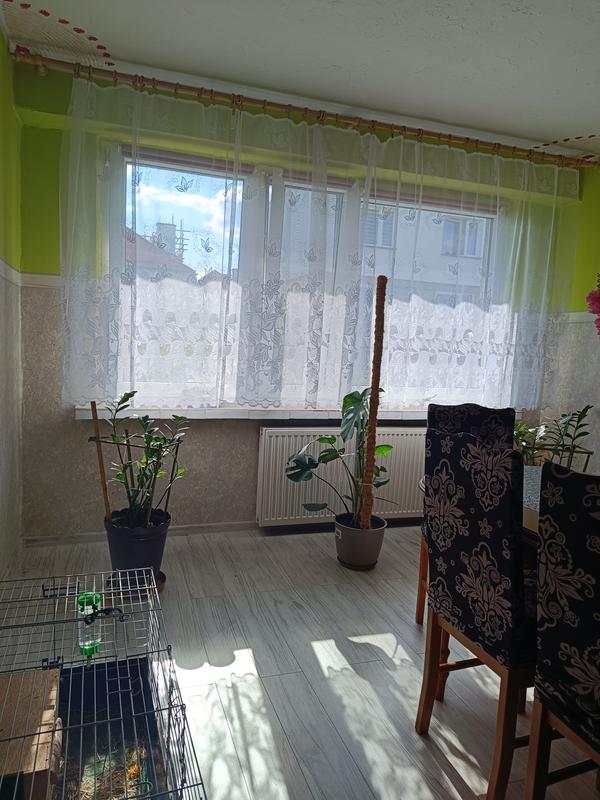 Otwórz okno opinii 1 na stronie 1