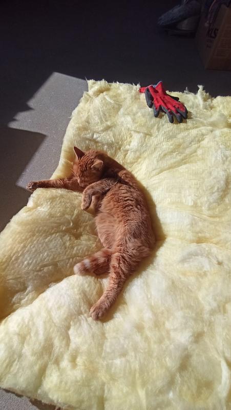 Otwórz okno opinii 1 na stronie 2