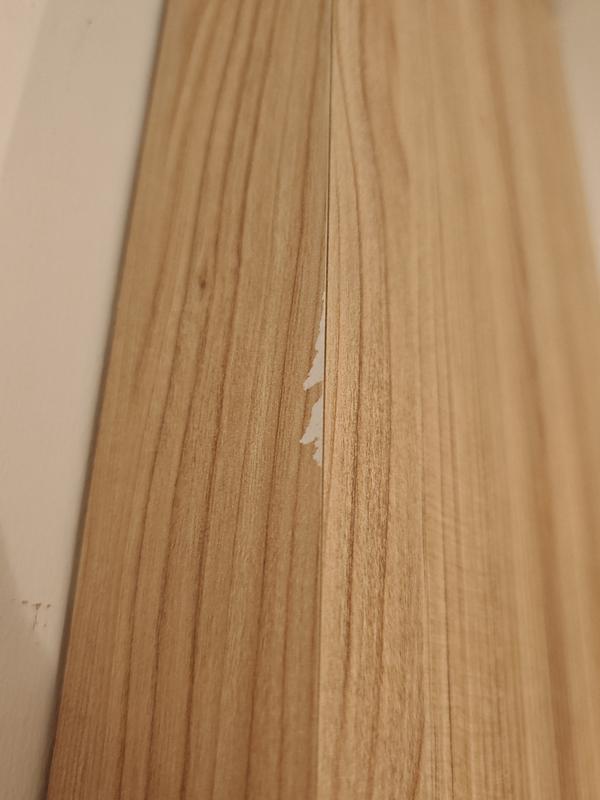 ミコト　パネル ミセルフラパネル ビッグワイド ブラック フル両面 (OT-558-227-7