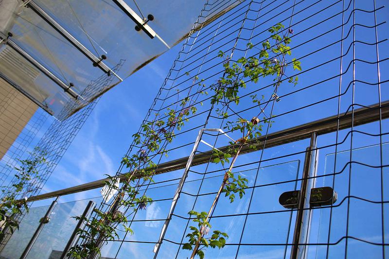 Otwórz okno opinii 2 na stronie 2